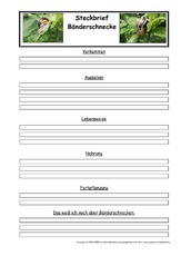 Bänderschnecke-Steckbriefvorlage.pdf